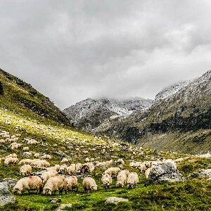 Dekbed Merino-Wol-4-seizoenen 