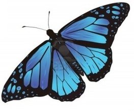 Zomer Natuur Zijden Dekbed Zomer Natuur Zijden Dekbed